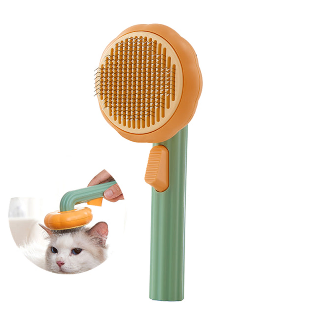 Pet Brush